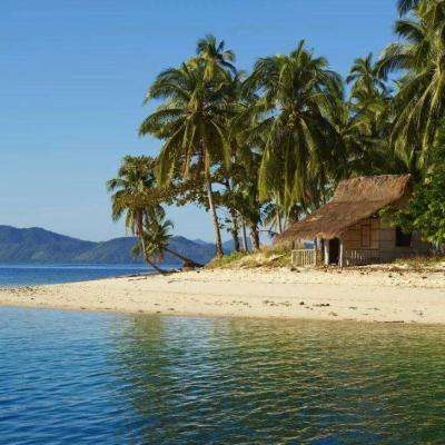 博鱼APP官方网站